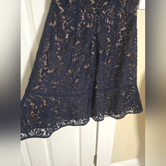 Banana Republic Midnight Blue Lace Dress - Picture 6 of 13